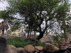 -天芳悦潭度假村温泉