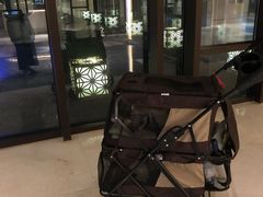 -上海崇明金茂凯悦酒店