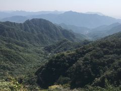 -大岭沟猕猴桃谷风景区
