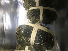-阳澄湖大闸蟹·琼灵阁牌品牌连锁(吴中总店)