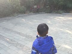 -东部华侨城