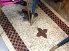 -埃马努埃莱二世拱廊