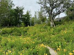-白鹭湾湿地公园