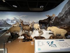 -陕西自然博物馆