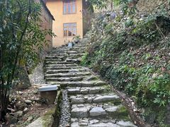 -杨家堂村