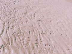 -白沙滩