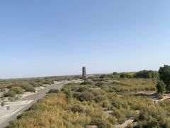 -金塔沙漠胡杨林景区