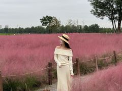 -汉长安城未央宫国家考古遗址公园