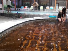 -弘安丽水温泉酒店