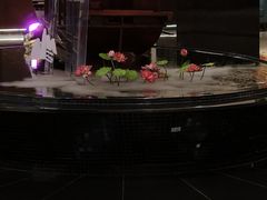 -博雅酒店-中餐厅