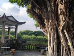 -东莞市可园博物馆