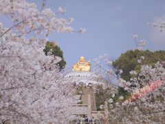 -苏州上方山国家森林公园