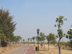 -野狸岛