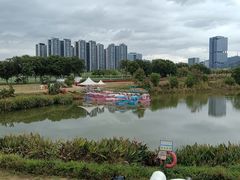 -光明小镇欢乐田园