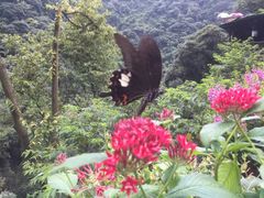 -古龙峡云天玻霸