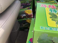 -马陆小张葡萄园农家乐