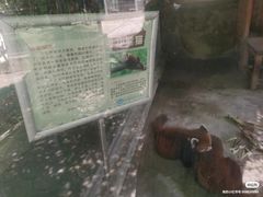 -水绘园
