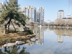 -木塔寺遗址生态公园