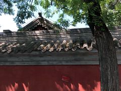 -北京国子监胡同
