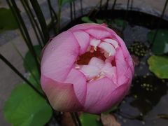-乌石村