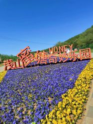 -浅山蜜塘奇妙乐园·亲子营地