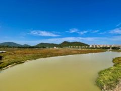 -风云岭森林公园