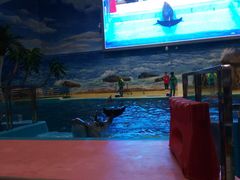 -福州罗源湾海洋世界旅游区