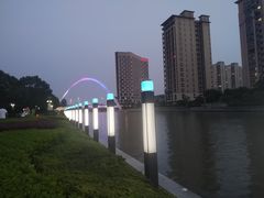 -陈家山荷花公园