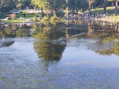 -昆山城市生态森林公园