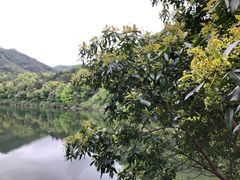 -广州市石门国家森林公园