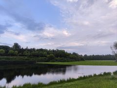 -白鹭湾湿地公园