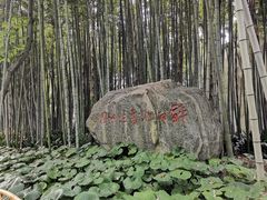 -上海方塔园