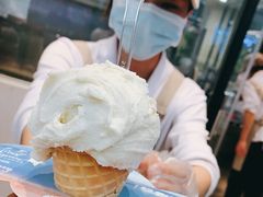 -野人先生现做冰淇淋(西安赛格店)