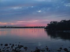 -宝安西湾红树林湿地公园