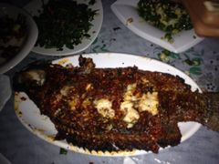 iphone_upload_pic-特种渔场