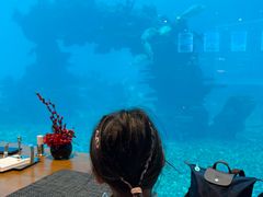-涛·海底餐厅·美人鱼·自助餐·海底隧道(三亚海棠湾洲际度假酒店)