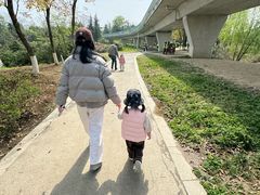 -白鹭湾湿地公园