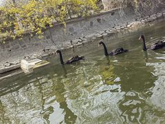 -南翠屏公园