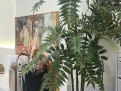 -共舞时光猫咖·狗咖(新街口店)