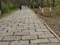 -高尔山公园