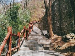 -王顺山国家森林公园
