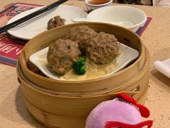陈皮蒸牛肉球-点都德(千灯湖环宇城店)