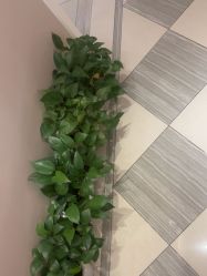 -蕾蕾美颜美容美体