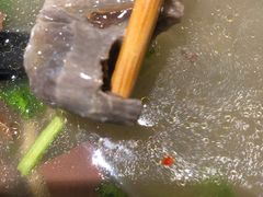 -百年尹氏汤包(湖南路狮子桥店)