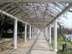 -苏州上方山国家森林公园