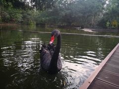 -海南热带野生动植物园