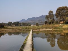 -丰盛镇响水水库