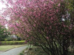 android_upload_pic-南通博物苑-崇川人民公园