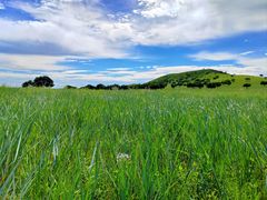 -五角枫生态旅游景区