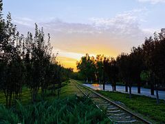 -永定河休闲森林公园